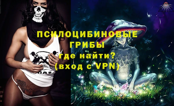 стафф Елизово