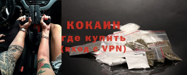 стафф Елизово