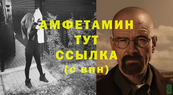 прущая мука Ельня