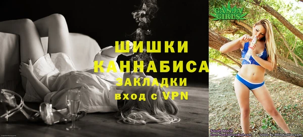 стафф Елизово