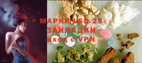 стафф Елизово