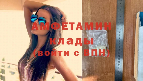 стафф Елизово