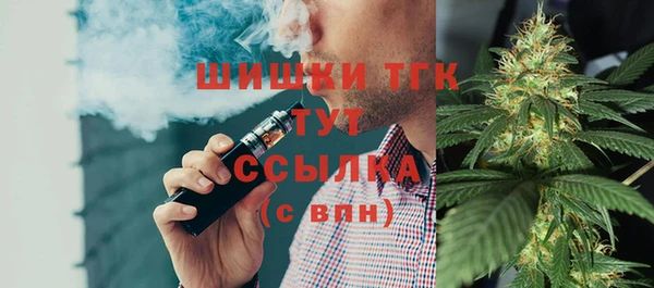 стафф Елизово
