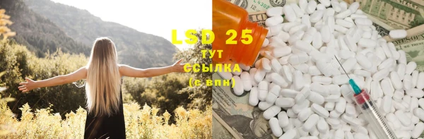 стафф Елизово