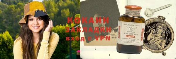 стафф Елизово